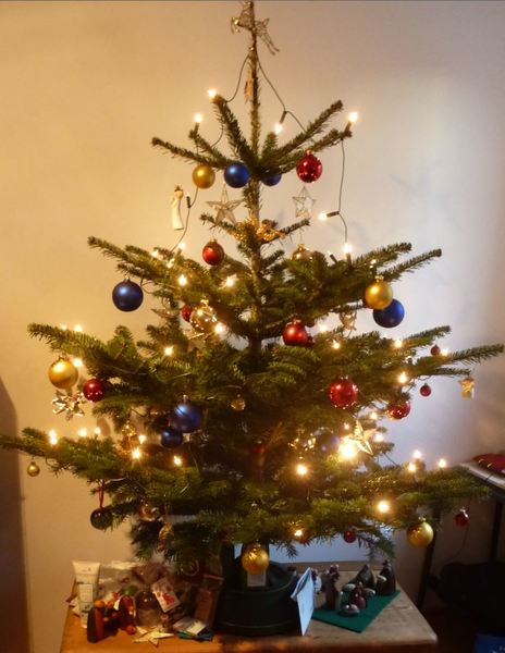 Weihnachtsbaum